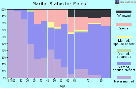 Zip code 02911 marital status for males
