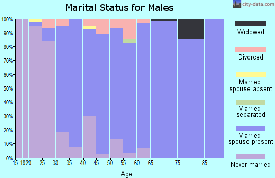 Zip code 03031 marital status for males