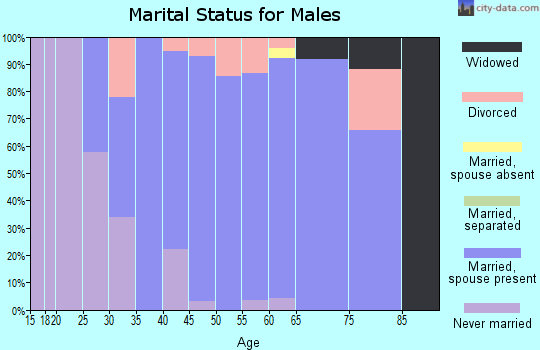Zip code 03032 marital status for males