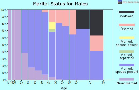 Zip code 03033 marital status for males