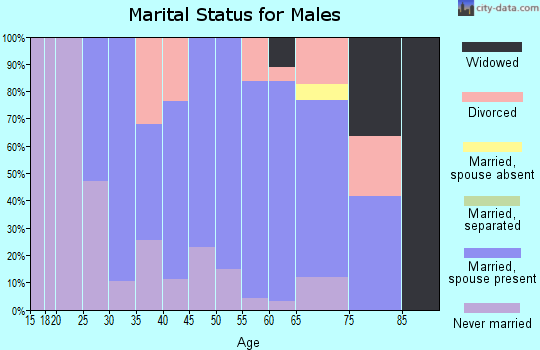 Zip code 03034 marital status for males