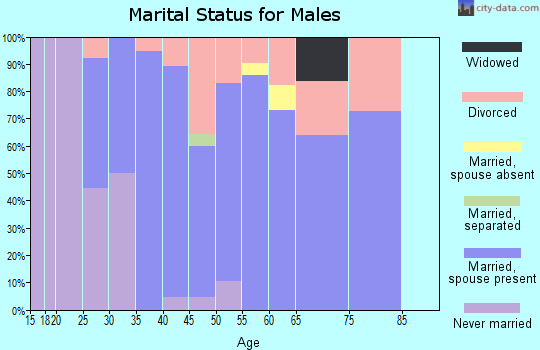 Zip code 03037 marital status for males