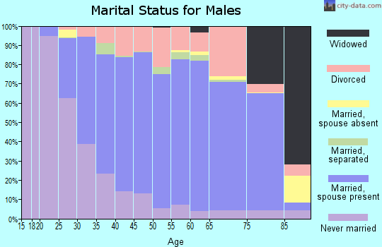 Zip code 03038 marital status for males