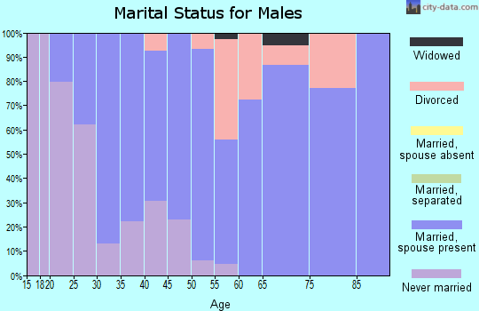 Zip code 03042 marital status for males