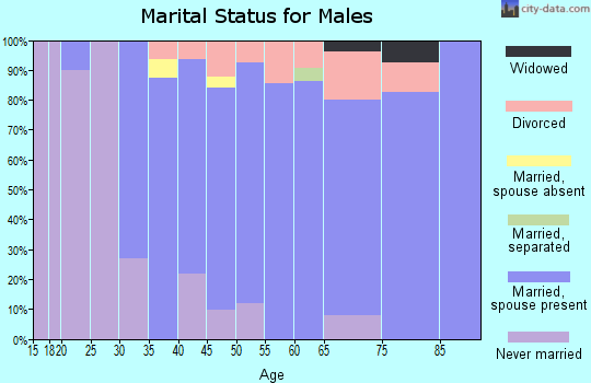 Zip code 03043 marital status for males