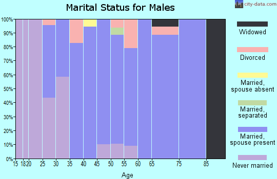 Zip code 03044 marital status for males
