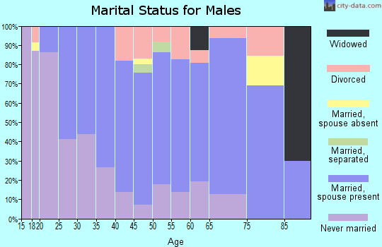 Zip code 03047 marital status for males