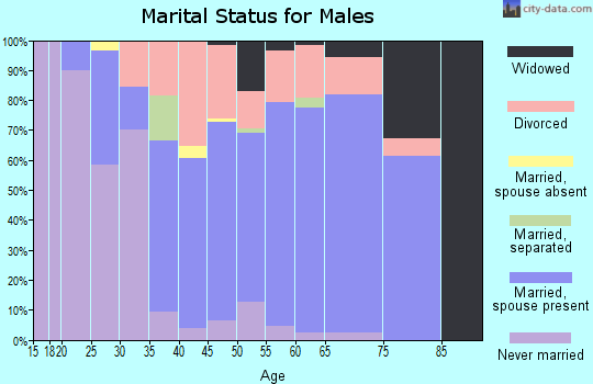 Zip code 03048 marital status for males