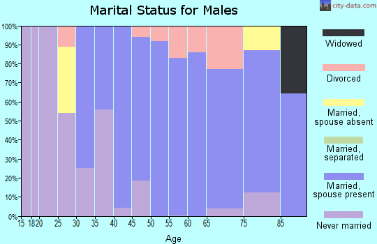 Zip code 03049 marital status for males