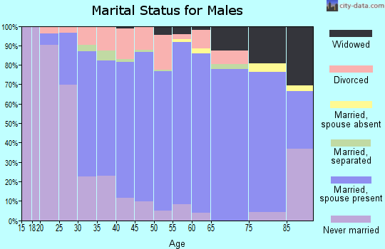 Zip code 03051 marital status for males