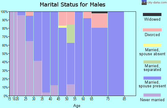Zip code 03052 marital status for males