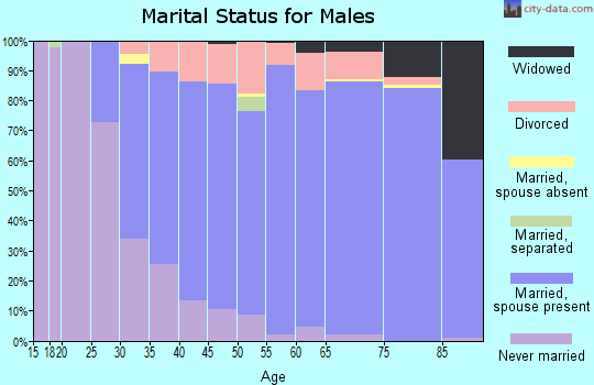 Zip code 03054 marital status for males