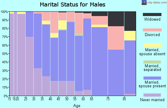 Zip code 03055 marital status for males