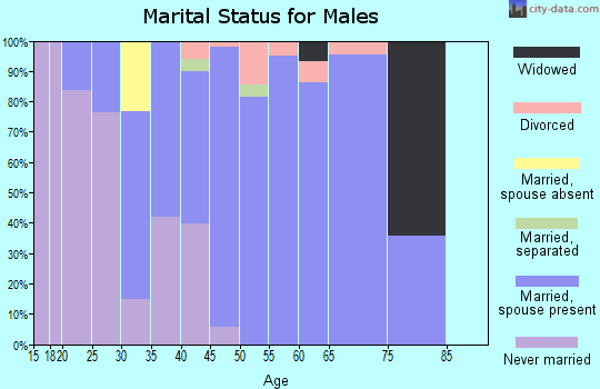 Zip code 03057 marital status for males