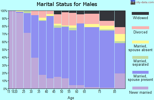 Zip code 03062 marital status for males