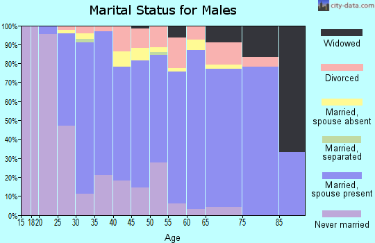 Zip code 03063 marital status for males