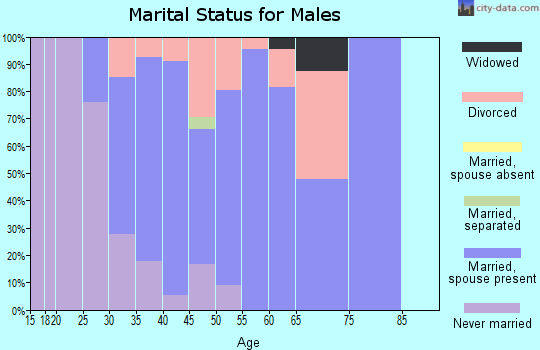 Zip code 03070 marital status for males
