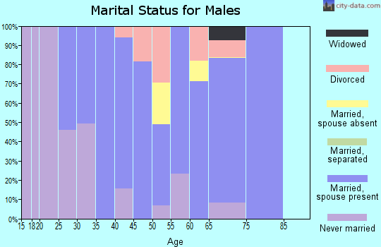 Zip code 03071 marital status for males