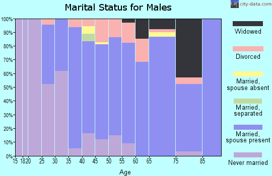 Zip code 03076 marital status for males