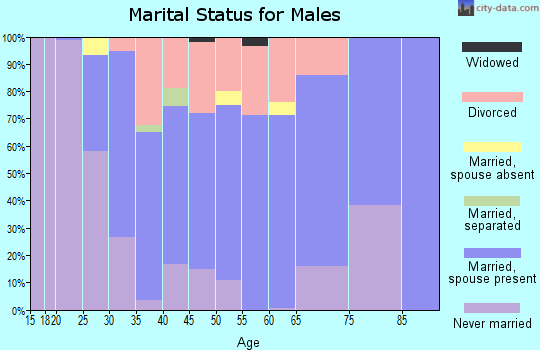 Zip code 03077 marital status for males