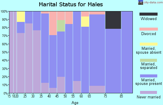 Zip code 03082 marital status for males