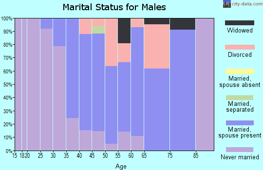 Zip code 03084 marital status for males