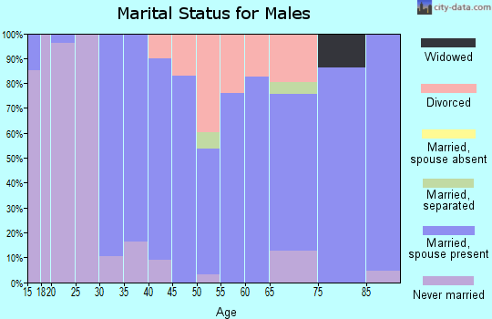 Zip code 03086 marital status for males