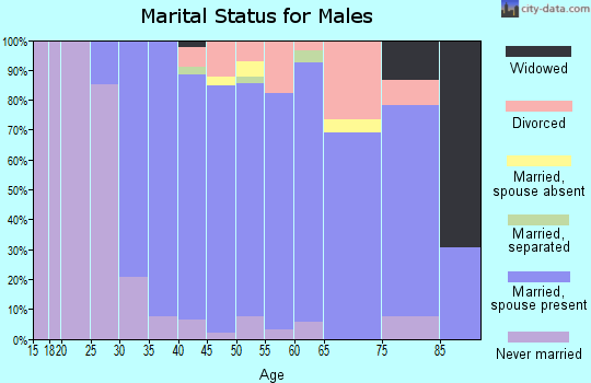 Zip code 03087 marital status for males