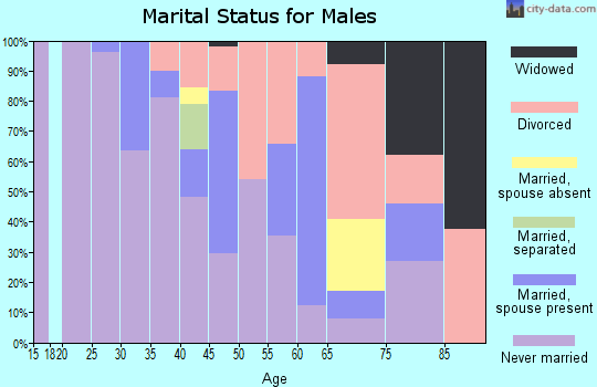 Zip code 03101 marital status for males