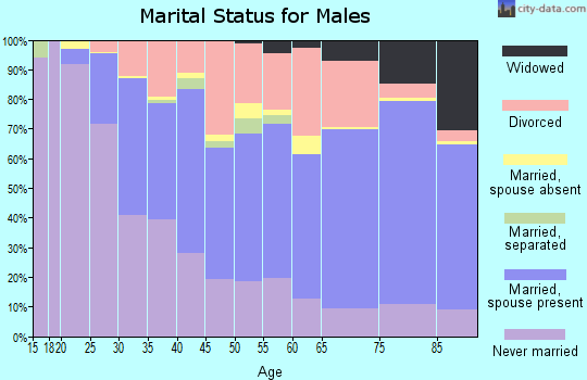 Zip code 03102 marital status for males