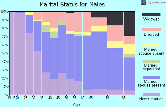 Zip code 03104 marital status for males