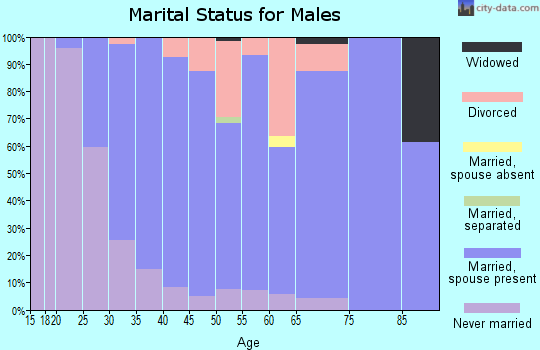 Zip code 03106 marital status for males