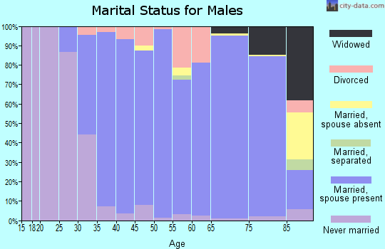 Zip code 03110 marital status