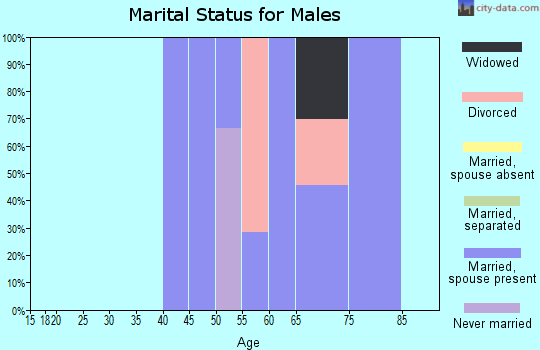 Zip code 03215 marital status for males