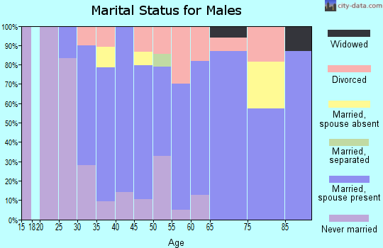 Zip code 03216 marital status for males