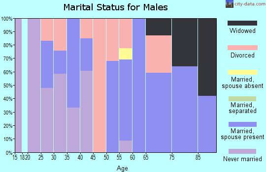 Zip code 03217 marital status for males