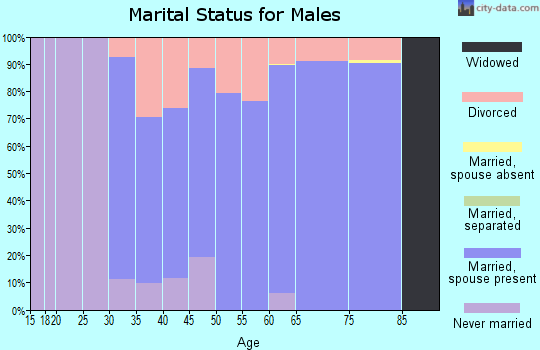Zip code 03220 marital status for males