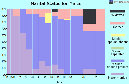 Zip code 03221 marital status for males