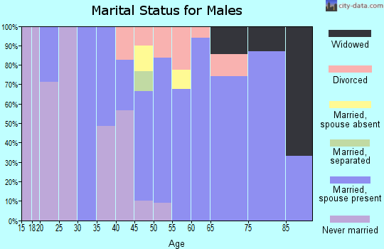 Zip code 03226 marital status for males