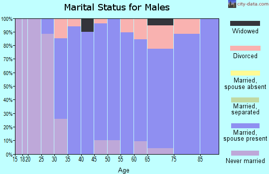 Zip code 03229 marital status for males
