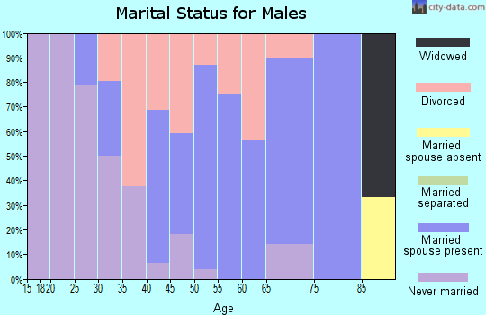 Zip code 03230 marital status for males