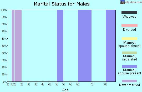Zip code 03233 marital status for males