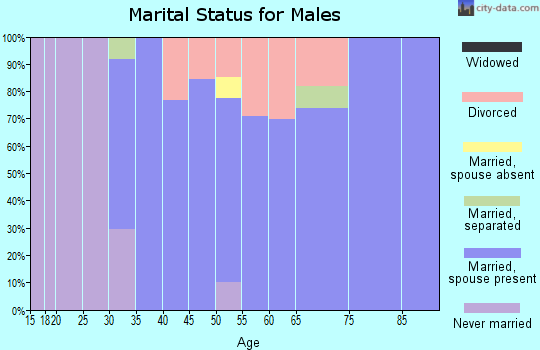 Zip code 03237 marital status for males