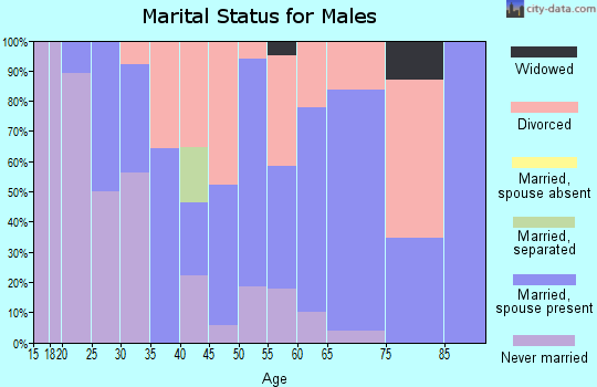 Zip code 03240 marital status for males