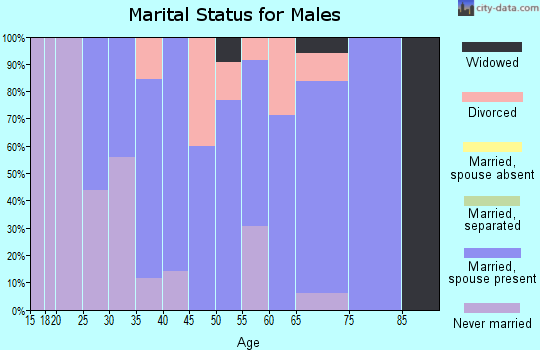 Zip code 03243 marital status for males