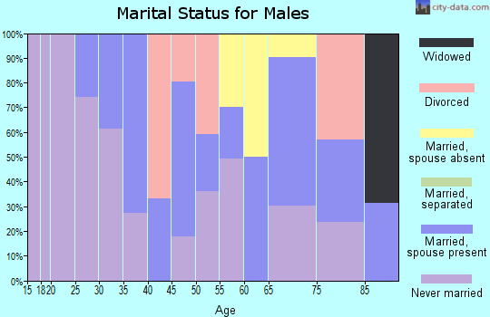 Zip code 03251 marital status for males