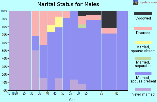 Zip code 03255 marital status for males