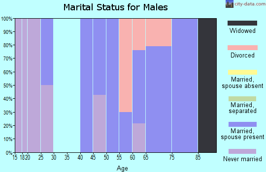 Zip code 03259 marital status for males