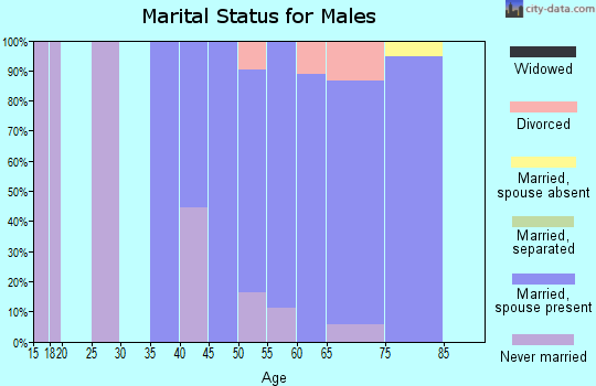 Zip code 03260 marital status for males