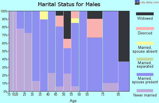 Zip code 03261 marital status for males